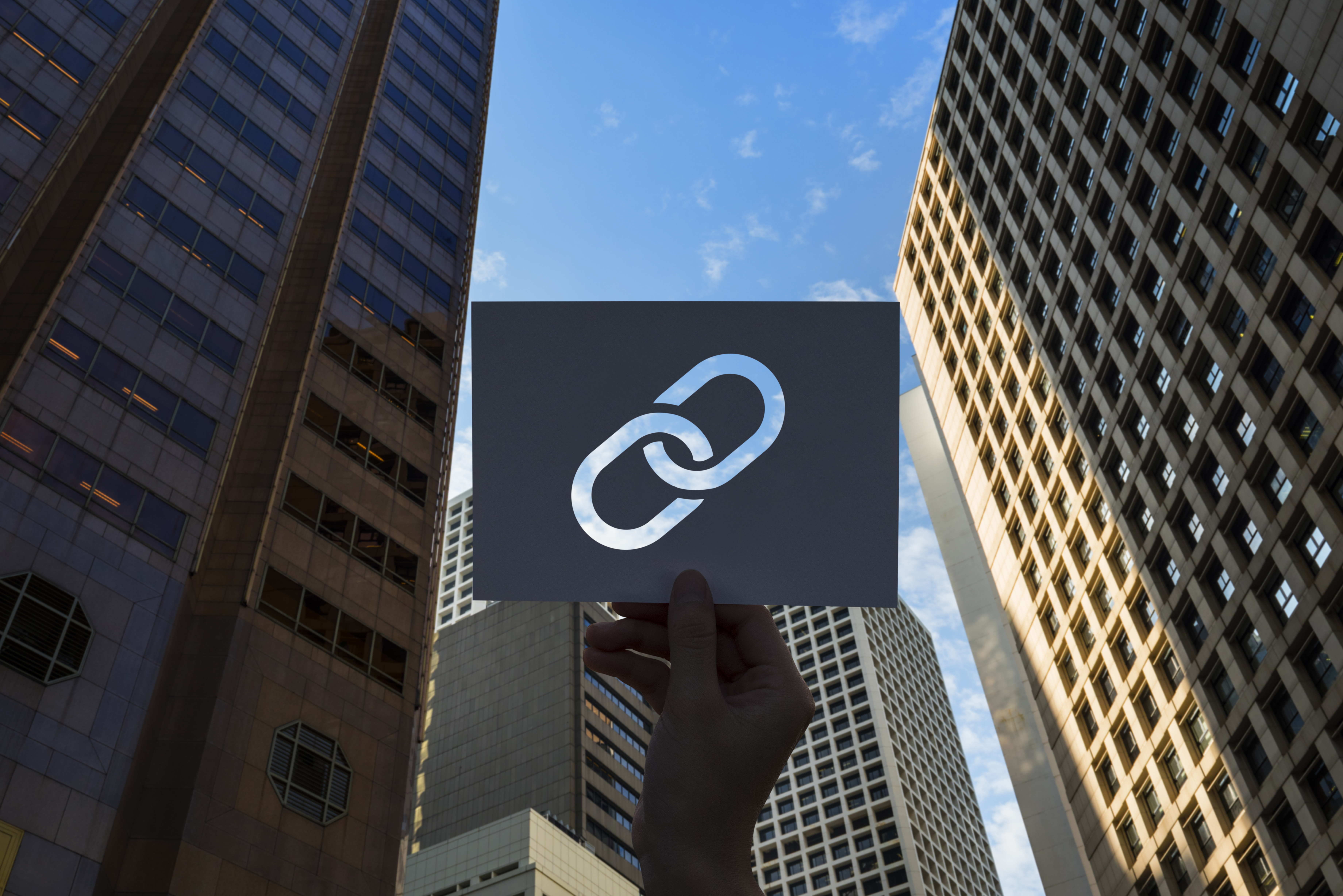 Guide for Newbies: Understanding Link Building Services